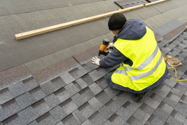 Best Roof Moss and Algae Removal  in Lawrence, KS