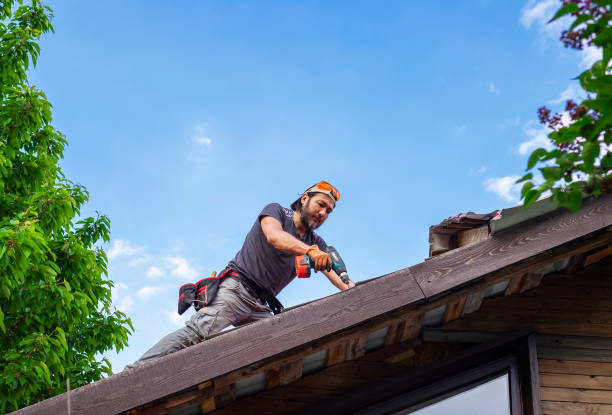 Best Roof Ventilation Installation  in Lawrence, KS